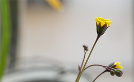 室內靜物拍攝常用參數(shù)